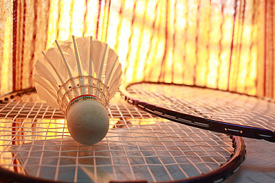 Badminton in Hof
