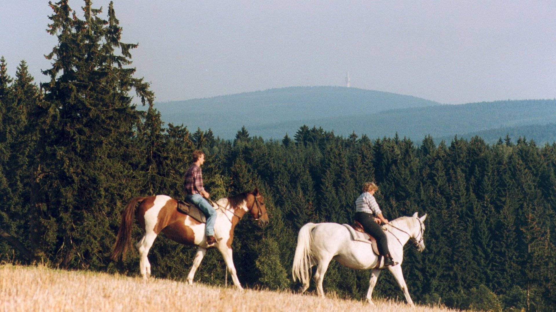 Reiten und Reiturlaub in der Fränkischen Schweiz - Zwei Reiter auf einem Hügel im Nadelwald