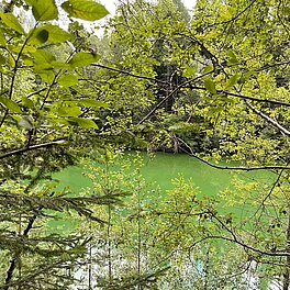 Natur pur - ein Abstecher in die wunderschöne Umgebung von Bad Alexandersbad