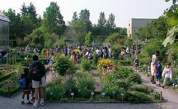 Bauerngarten im Botanischen Garten in Würzburg