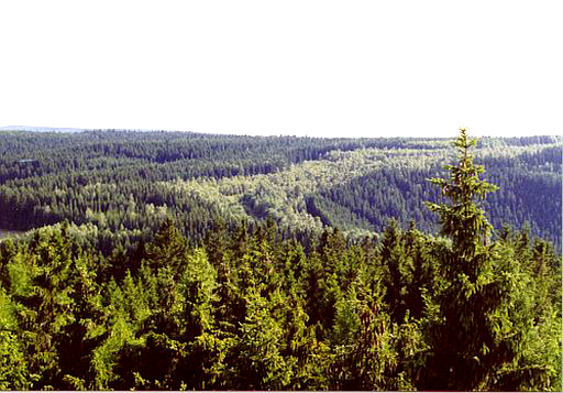 Aussichtsplateau Rodeck in Schwarzenbach am Wald im Frankenwald