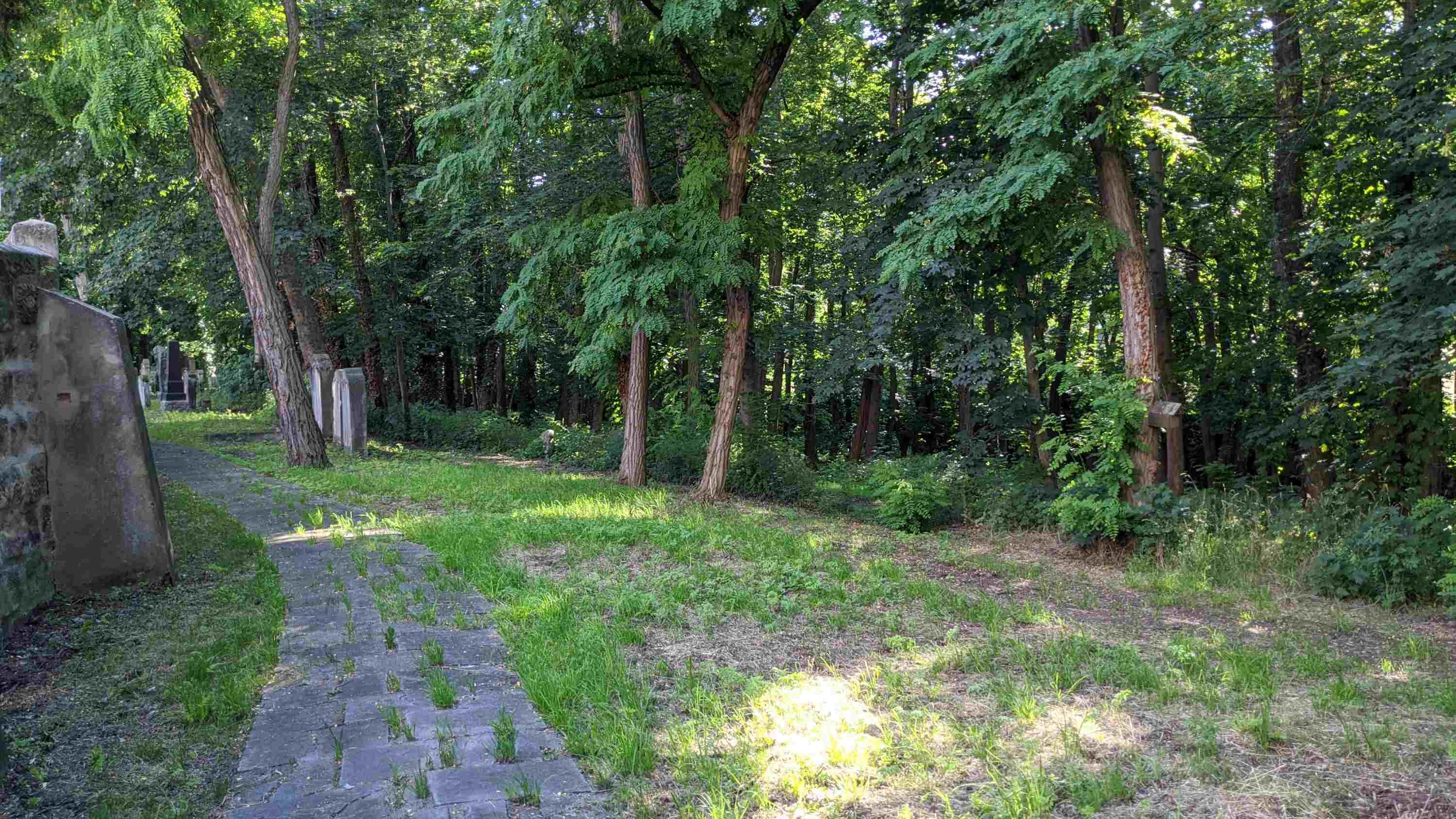 Grabsteine auf dem alten jüdischen Friedhof Fürth