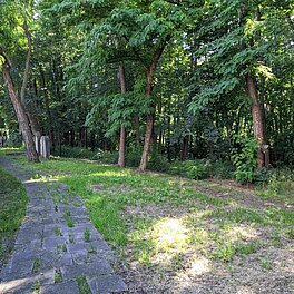 Grabsteine auf dem alten jüdischen Friedhof Fürth
