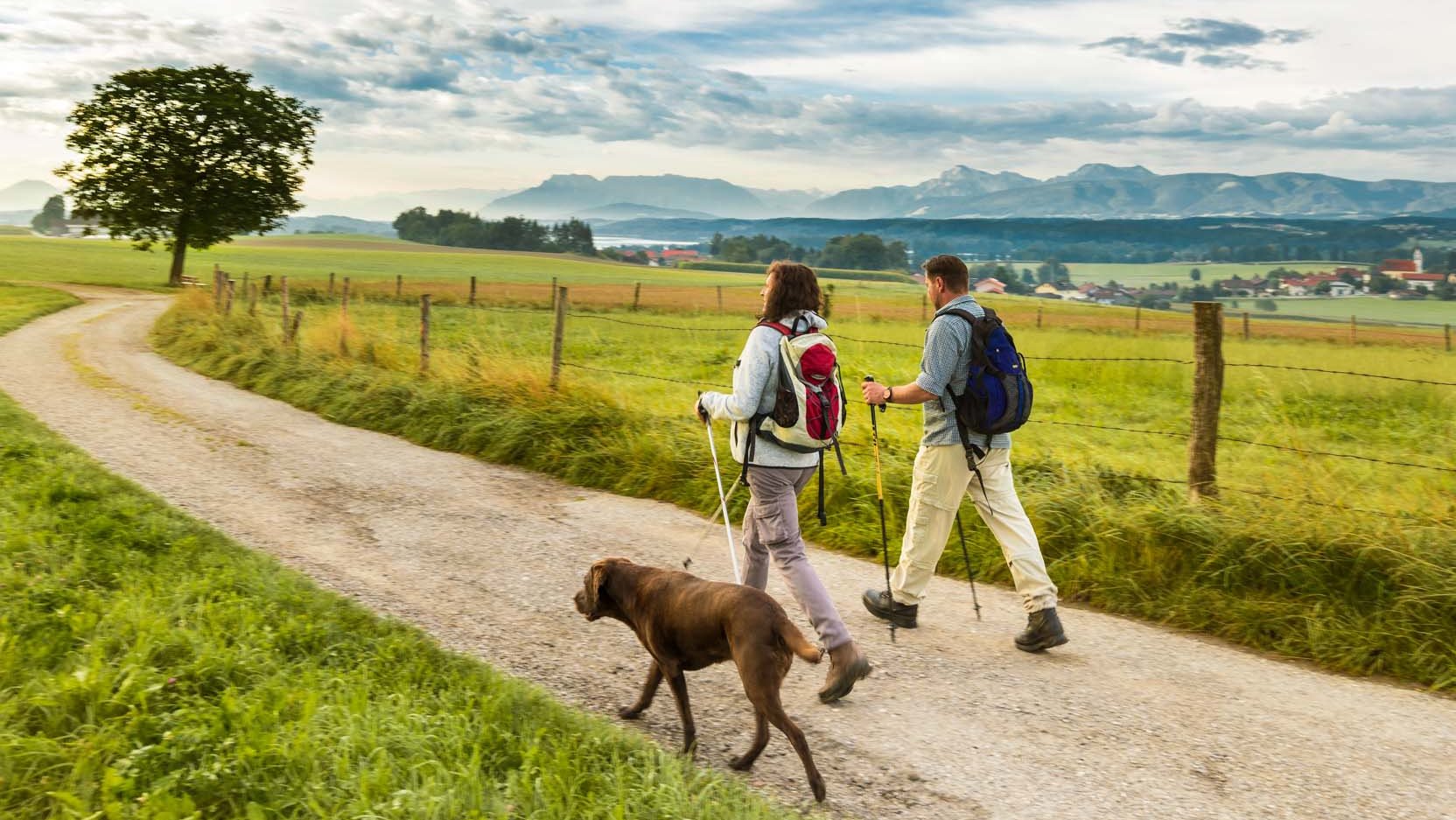 Wandern und Wanderurlaub im Fränkischen Seenland - Wanderer-Paar wandert auf dem Land mit Hund bei sonnigem Wetter