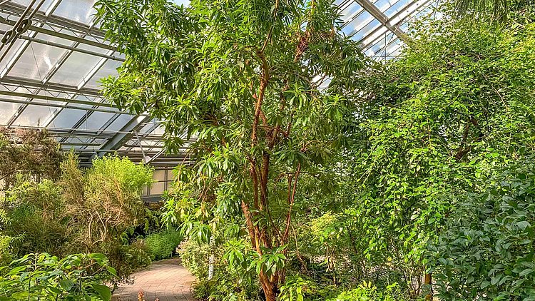 Der Ökologisch Botanische Garten in Bayreuth ÖBG