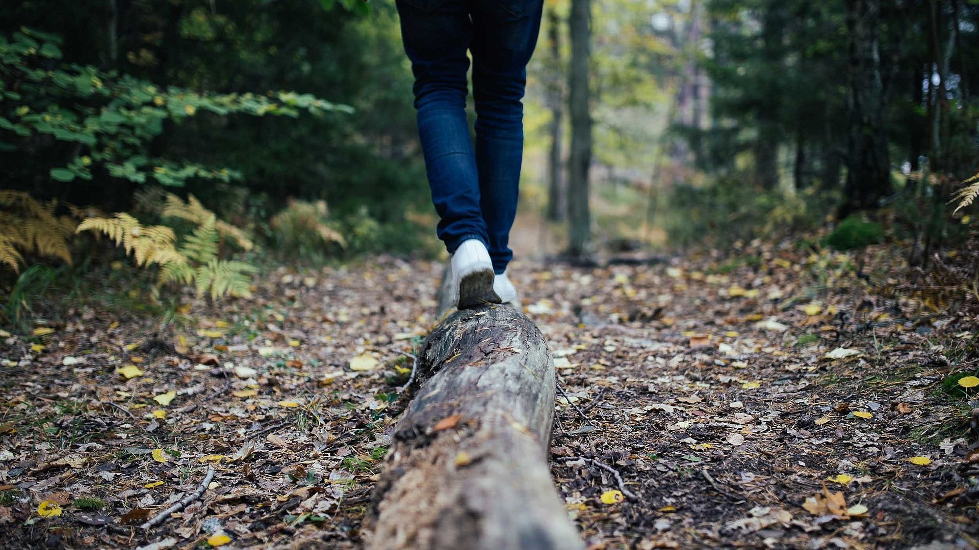 Incentives in Unterfranken - Wanderer im Wald balanciert auf Holzstamm