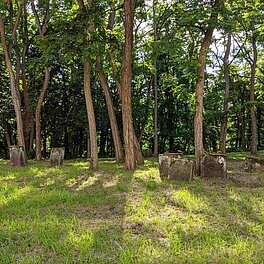 Grabsteine auf dem alten jüdischen Friedhof Fürth