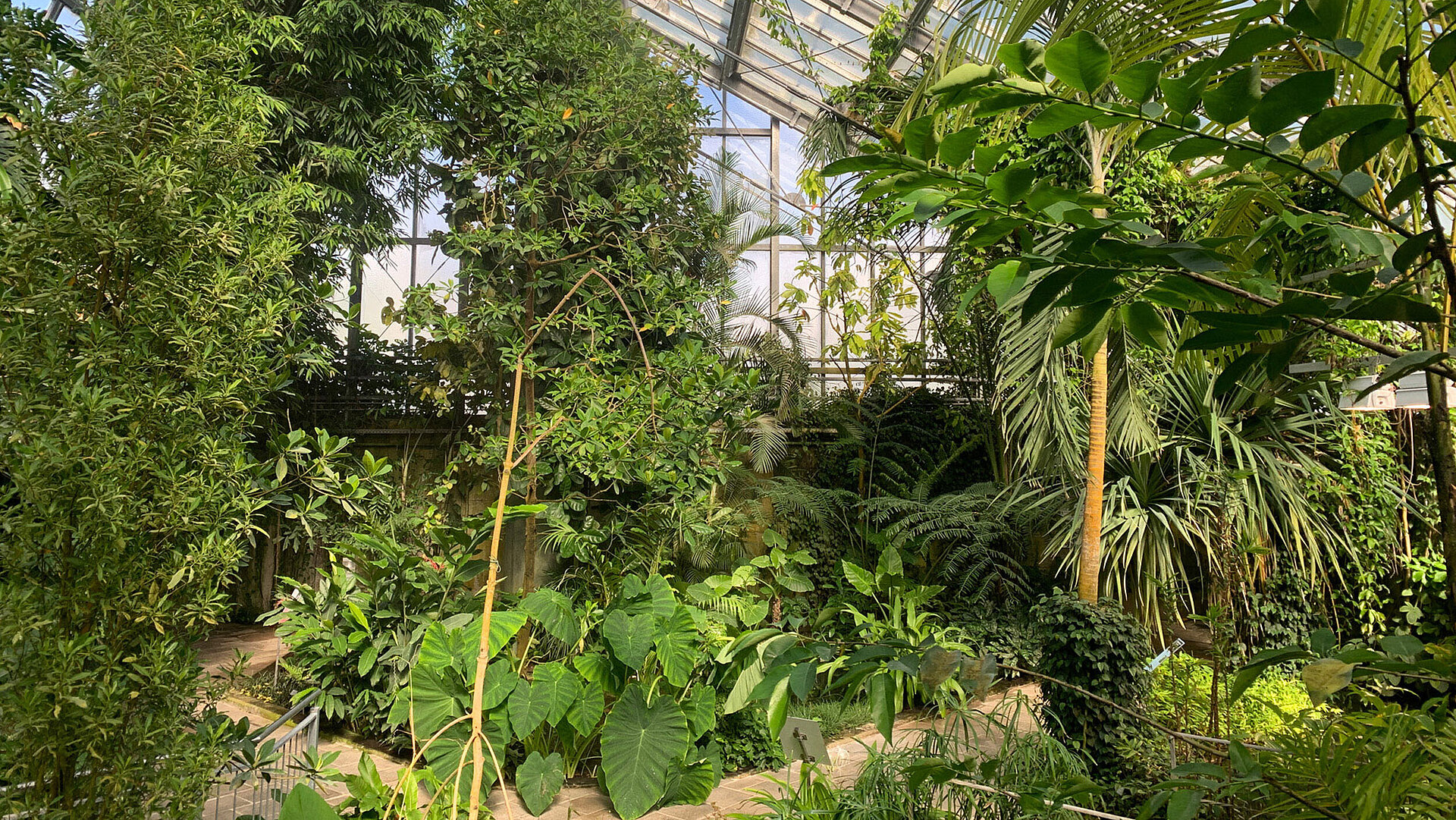 Öffnungszeiten des Botanischen Gartens