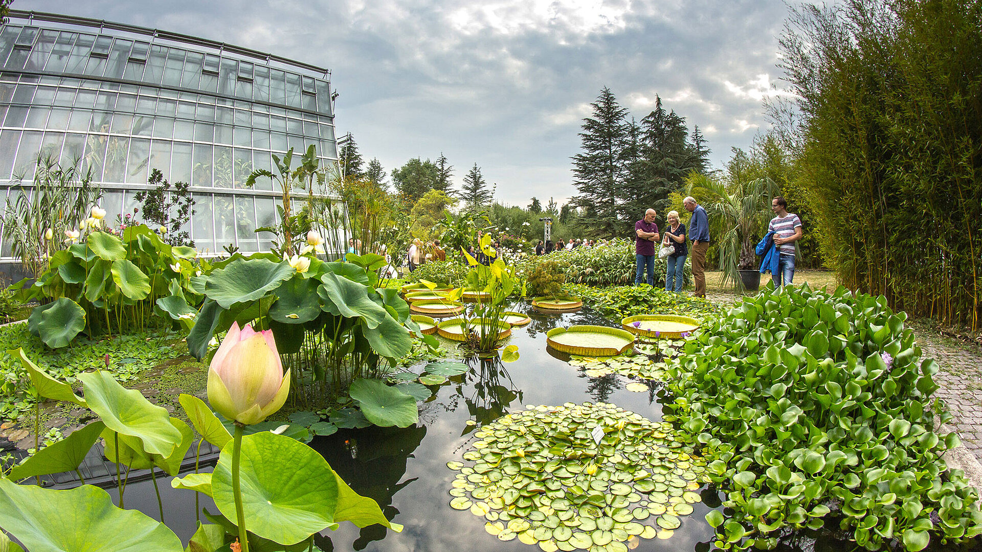 Den Botanischen Garten kennenlernen