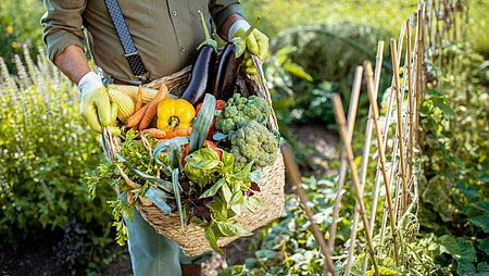 Kulinarische Entdeckungen: Food-Trends der Saison