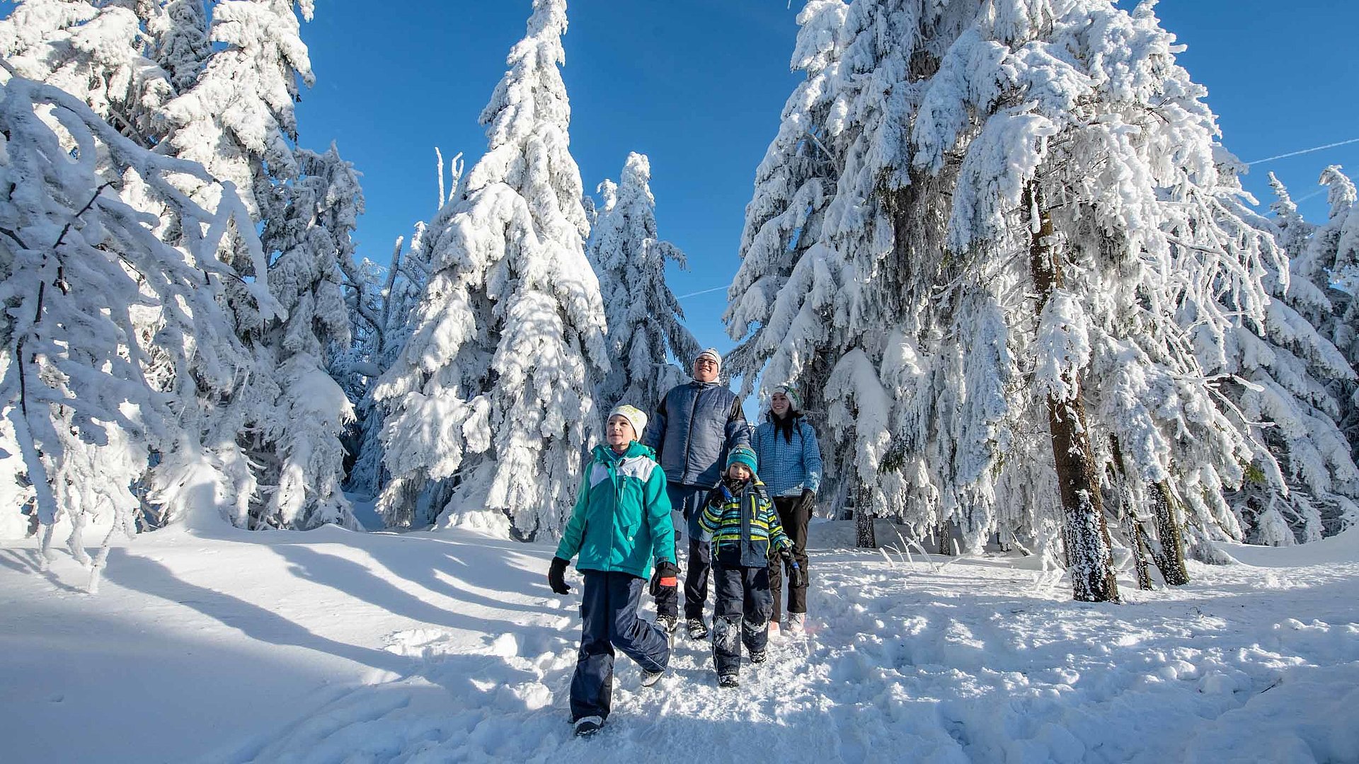 Wanderfreundliche Unterkünfte im Fichtelgebirge - Gruppe von Wanderern im schneebedeckten Wald