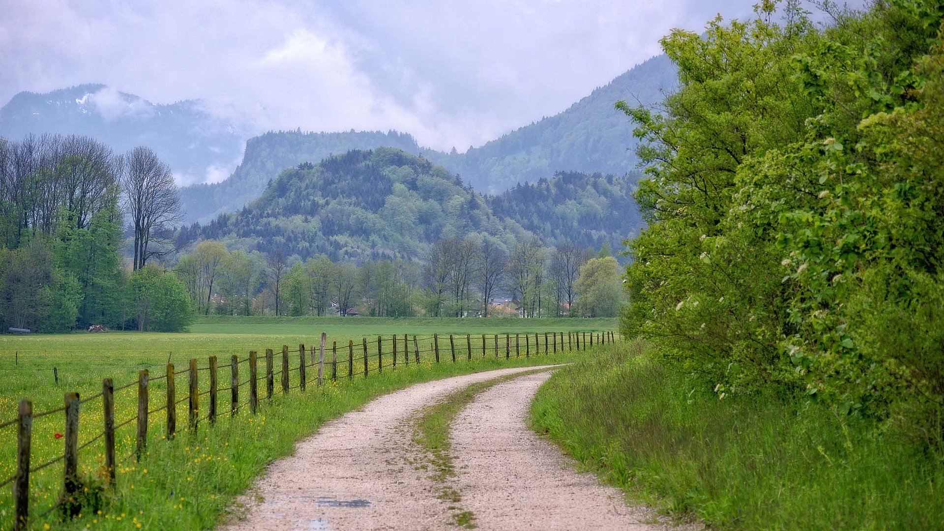 Incentives in Oberfranken - Wanderpfad in grüner Landschaft mit Hügeln und Bergen im Hintergrund