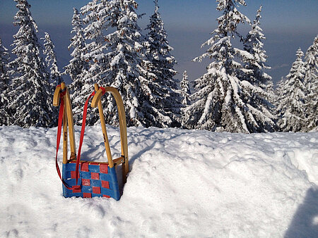 Winterrodelbahn in Ofterschwang - Schlitten im Schnee