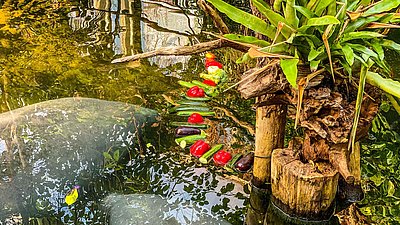 Tiergarten Nürnberg Tiergarten Nürnberg