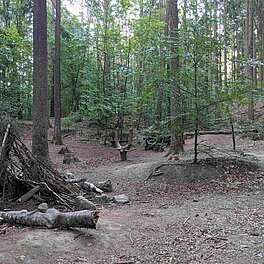 Naturspielplatz des Naturlehrpfades im Stadtwald Fuerth. Provisorischer Unterstand aus Aesten und Sitzgelegenheit aus Wurzel.