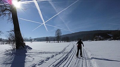 Schneereiche Region Schneereiche Region