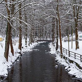 Ein ruhiger Winterwanderweg an der Ölschnitz beginnt direkt im Kurpark von Bad Berneck