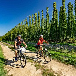 Fahrradtour in die Umgebung von Bad Gögging -Hopfenfelder