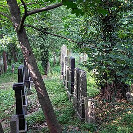 Grabsteine im alten jüdischen Friedhof Fürth inmitten wilder Vegetation