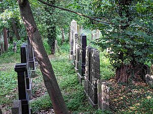 Grabsteine im alten jüdischen Friedhof Fürth inmitten wilder Vegetation