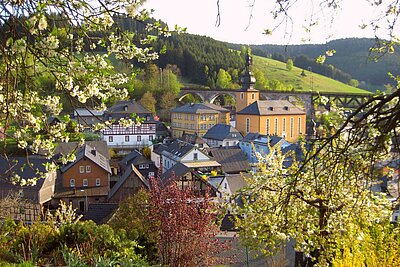 Blick auf Ludwigstadt