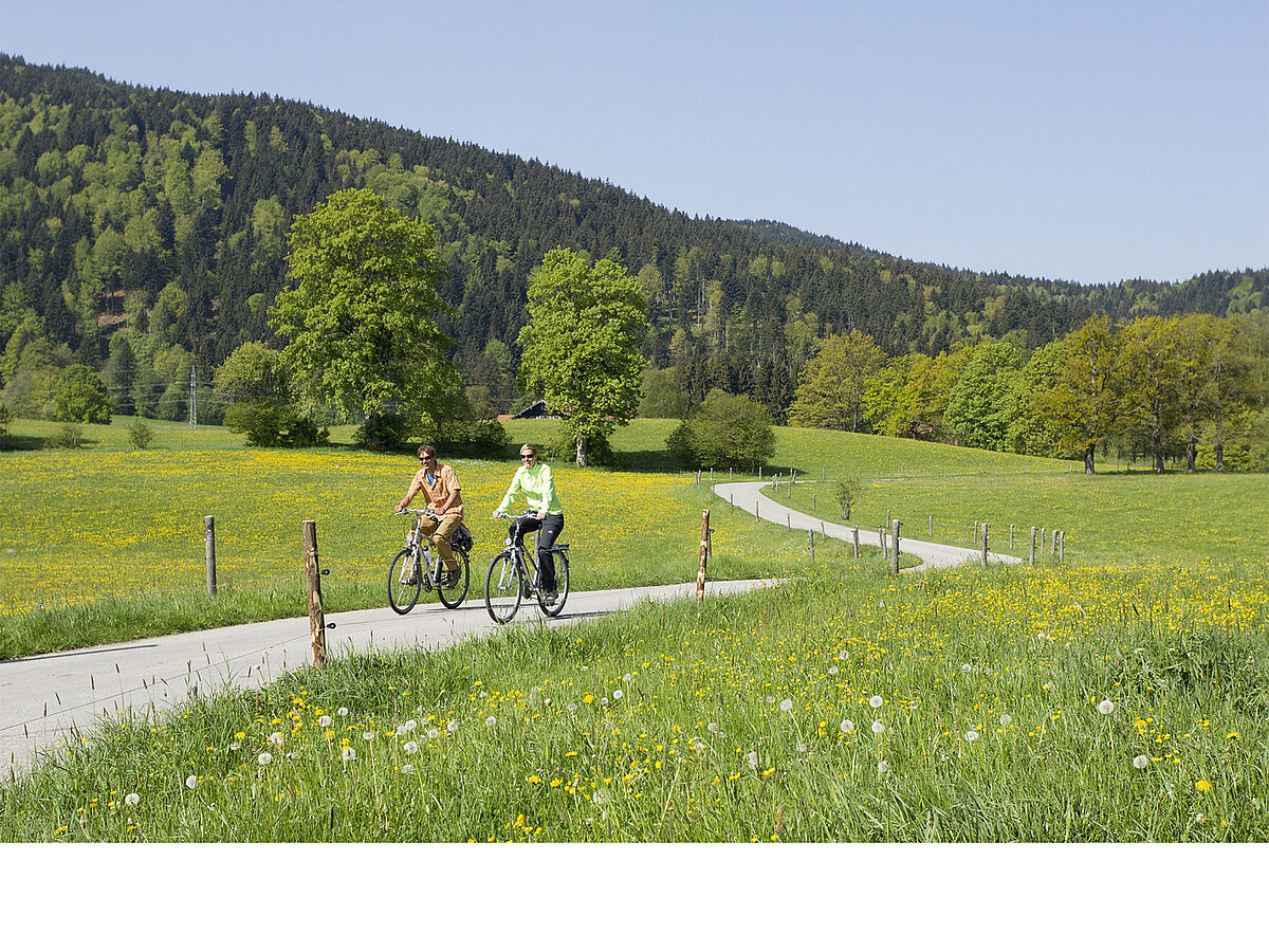 mtb hiking