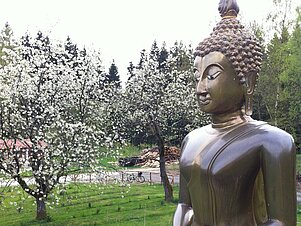 Waldkloster Muttodaya - Buddhafigur