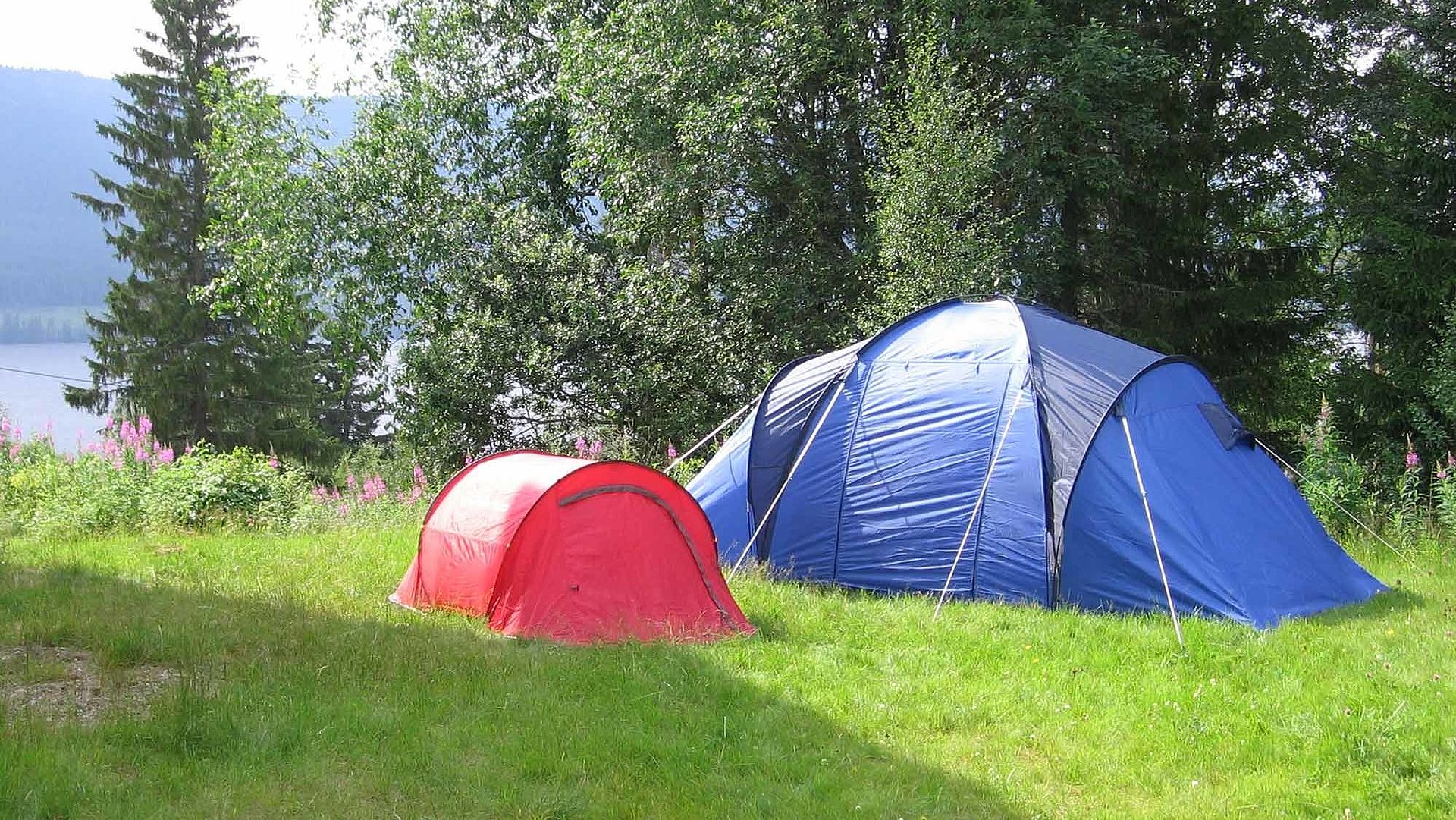 Camping in Mittelfranken - Campingplatz im Wald; zwei große Zelte bei Tageslicht