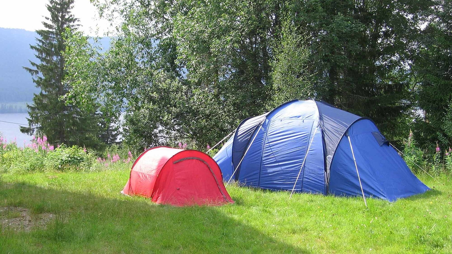 Camping in der Fränkischen Schweiz - Zwei Zelte auf einer Wiese