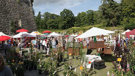 Rosen und GartenMesse Kronach