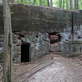 alter Steinbruch mit Hoehle im Stadtwald Fuerth