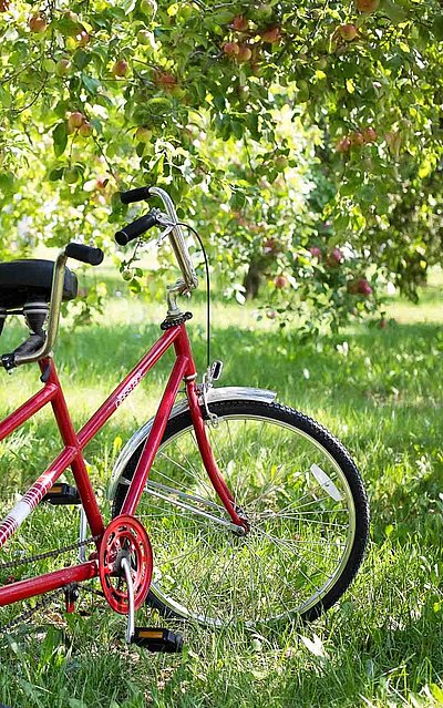 Radfahren und Radwandern in Mittelfranken - rotes Tandem-Fahrrad im Wald zu Tageslicht