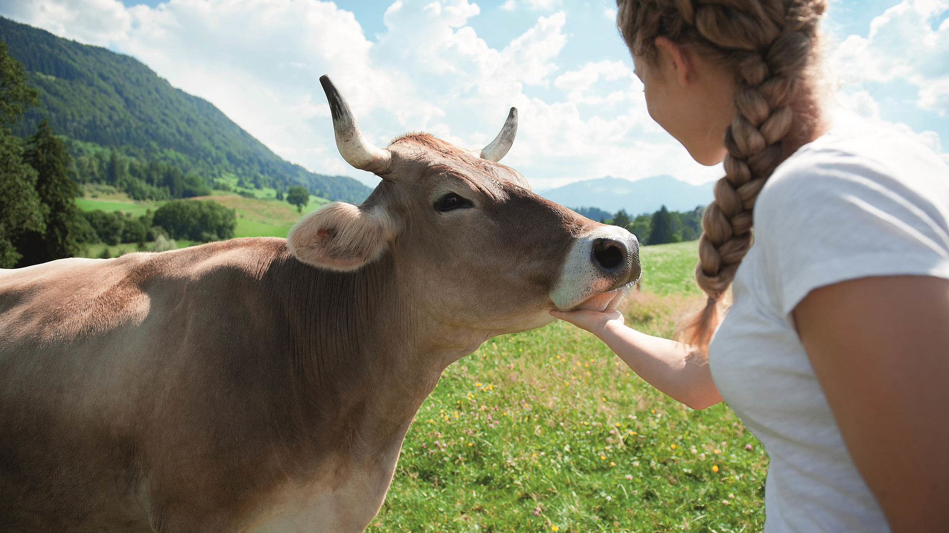 Urlaub auf dem Bauernhof im Frankenwald - Mädchen streichelt Kuh auf Wiese