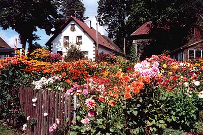 Stammbach Dorfhaus