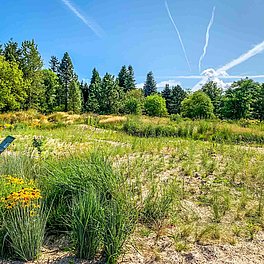 Ökologisch-Botanischer Garten der Universität Bayreuth Aussenanlagen