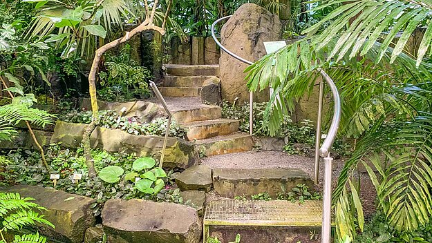 31+ Botanischer Garten Bayreuth Kaufen, Eine besonderheit ist das