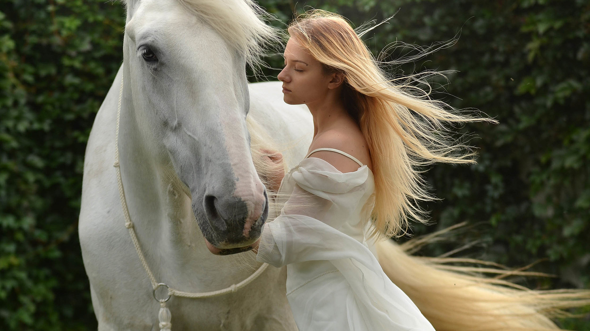 Urlaub auf dem Bauernhof in Ostbayern - junge Frau mit langem blonden Haar und weißem Kleid streichelt weißes Pferd
