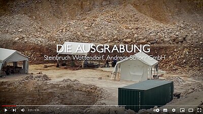 Naturkunde-Museum Bamberg - Vom Steinbruch ins Museum Naturkunde-Museum Bamberg - Vom Steinbruch ins Museum