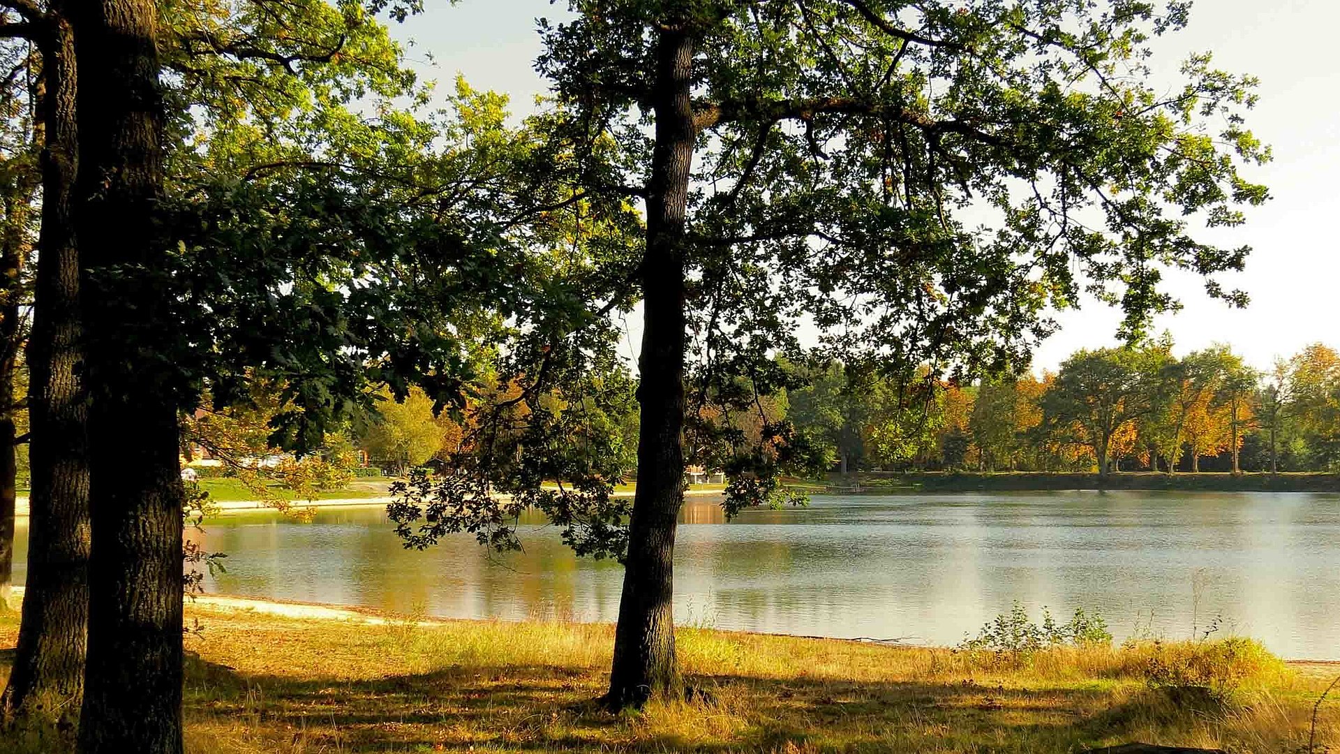 Natur in Kulmbach