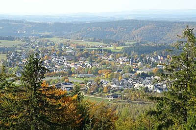 Blick auf Schwarzenbach am Wald