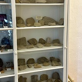 Im Bamberger Naturkundemuseum umgeschaut - Vitrine mit Fossilien