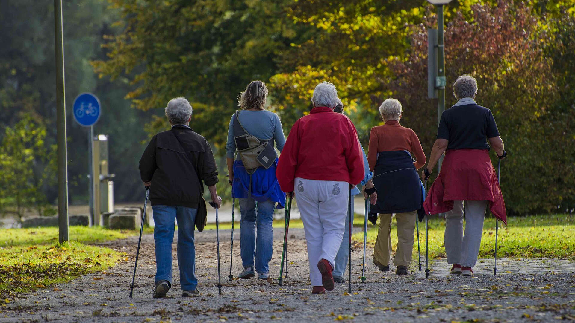 Nordic Walking im Ostallgäu - Gruppe von Frauen beim Walken im Park