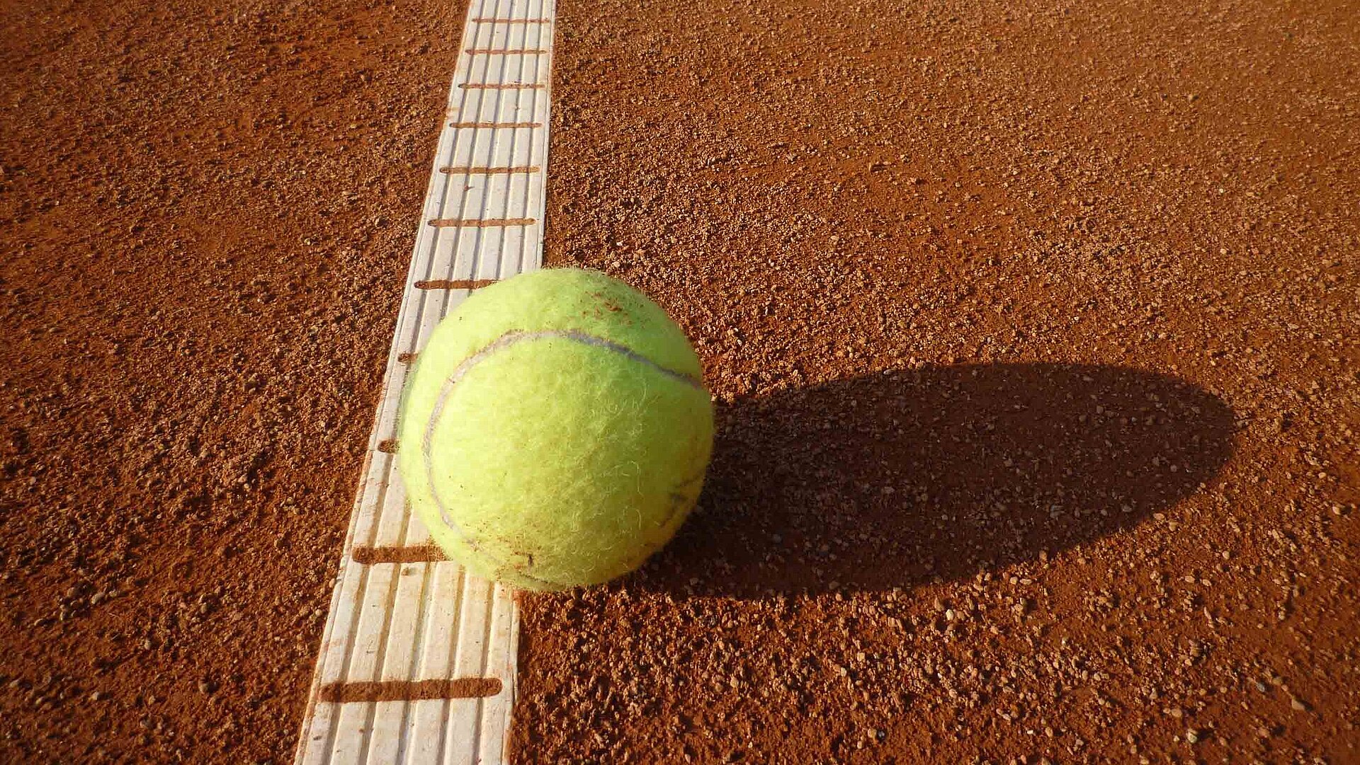 Tennis im Frankenwald Tennisball