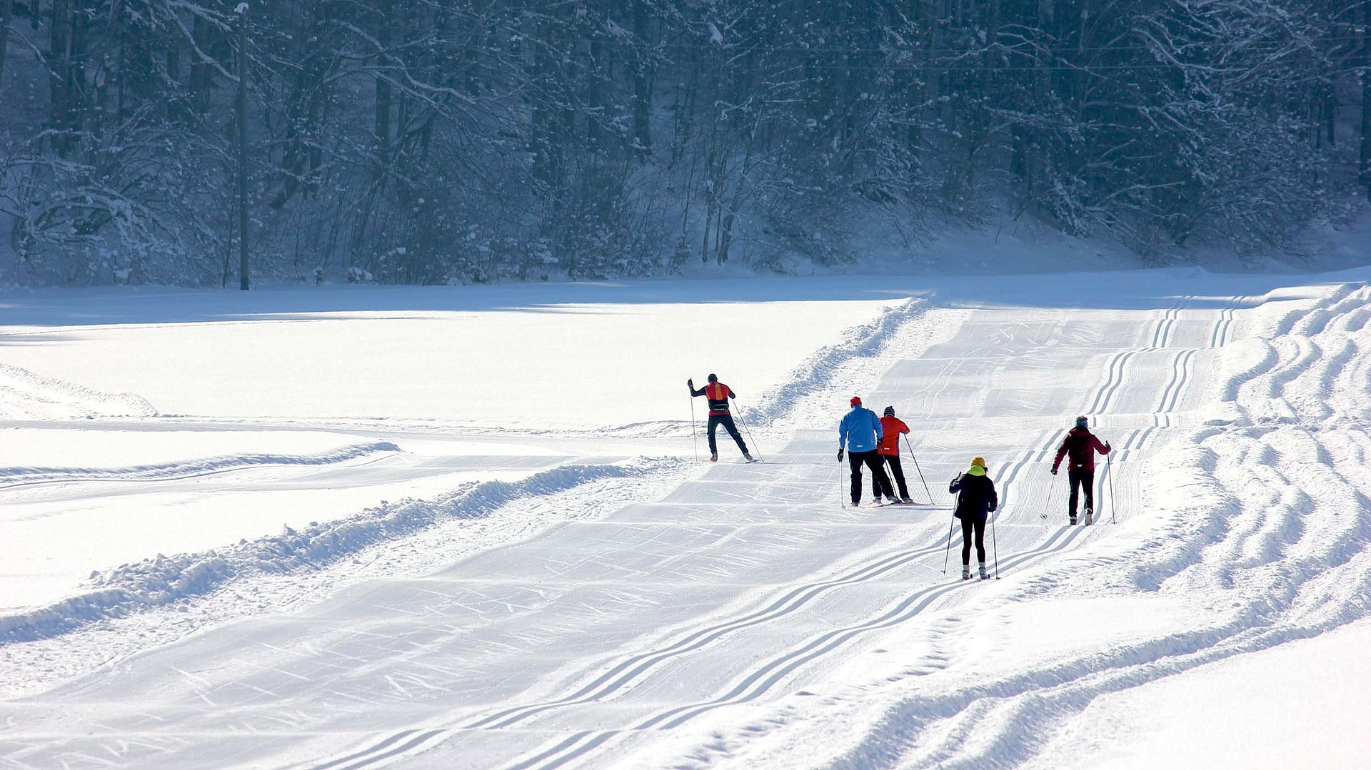 Anreize für Aktivitäten im Fichtelgebirge - Mehrere Leute, auch Gruppen gehen im Ski-Langlauf, entfernen sich von der Kamera weg
