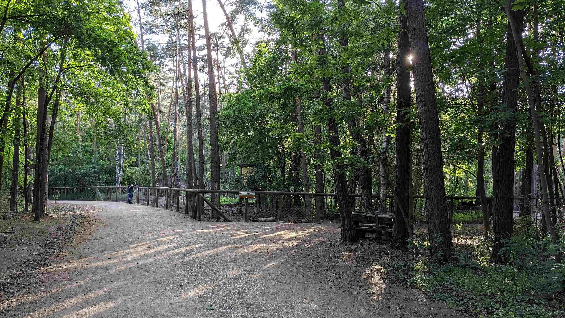 Eingang Stadtwald Fürth am Schwarzwildgehege. Weggabelung im Wald