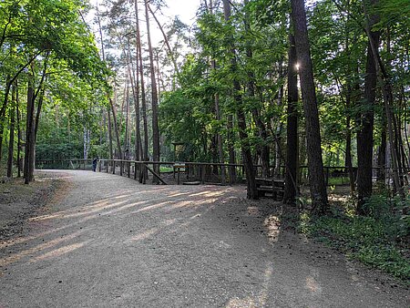 Eingang Stadtwald Fürth am Schwarzwildgehege. Weggabelung im Wald