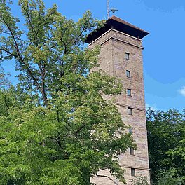 Turm der alten Veste hinter Baum