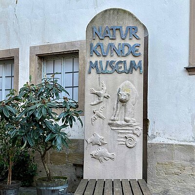 Naturkundemuseum Bamberg Naturkundemuseum Bamberg
