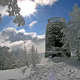 In der Umgebung unterwegs - Hirschenstein im Winter