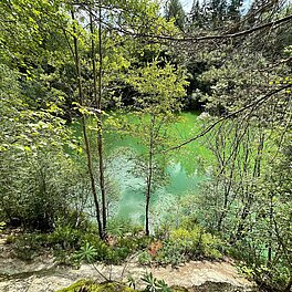 Natur pur - ein Abstecher in die wunderschöne Umgebung von Bad Alexandersbad
